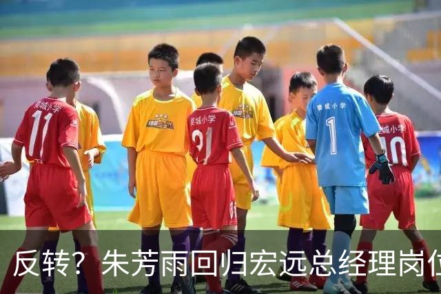 反转？朱芳雨回归宏远总经理岗位？谁注意他社媒个人介绍改变