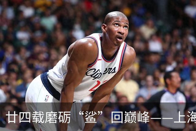 廿四载磨砺“鲨”回巅峰——上海男篮夺冠之路